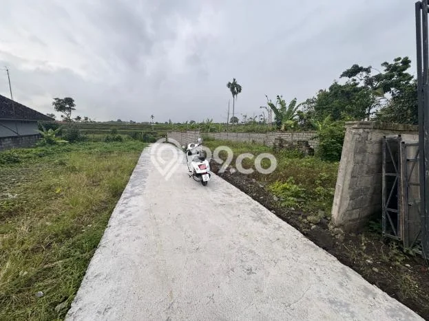 Kavling Tanah untuk Dijual di Sading, Badung, Luas 256m2 Kavling Tanah untuk Dijual di Sading, Badung, Luas 256m2