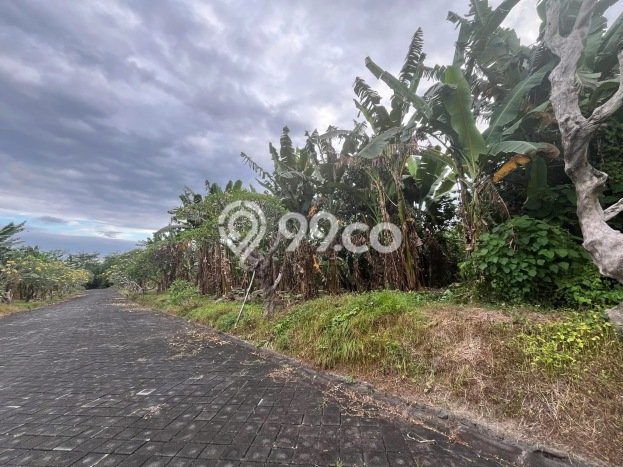 Tanah Strategis Dijual di Gianyar Gianyar 100m2 Tanah Strategis Dijual di Gianyar Gianyar 100m2
