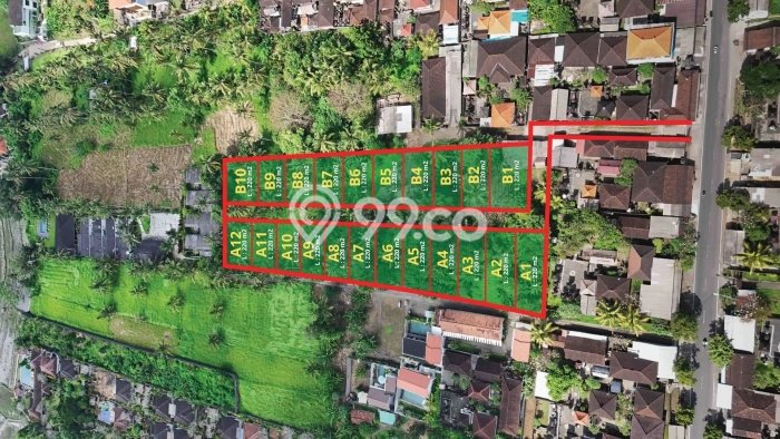 Dijual Tanah Area Premium Kawasan Ubud, Luas 200m², Cocok untuk Investasi Dijual Tanah Area Premium Kawasan Ubud, Luas 200m², Cocok untuk Investasi