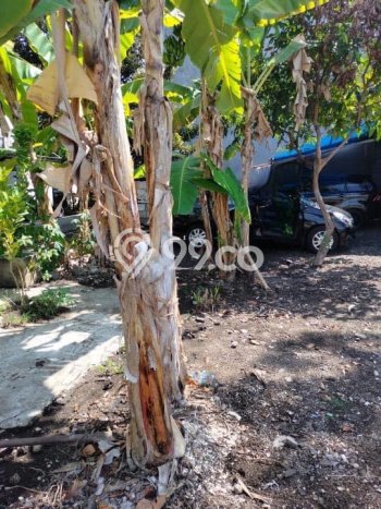 Dijual Tanah 292m2 di Jimbaran, Badung Dijual Tanah 292m2 di Jimbaran, Badung