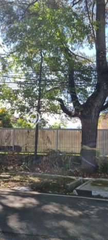 Tanah Kavling Disewakan di Hegarmanah dengan Luas 1170m2 Tanah Kavling Disewakan di Hegarmanah dengan Luas 1170m2