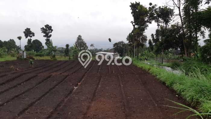 Tanah Dijual di Bandung Seluas 1450m2 Strategis Tanah Dijual di Bandung Seluas 1450m2 Strategis