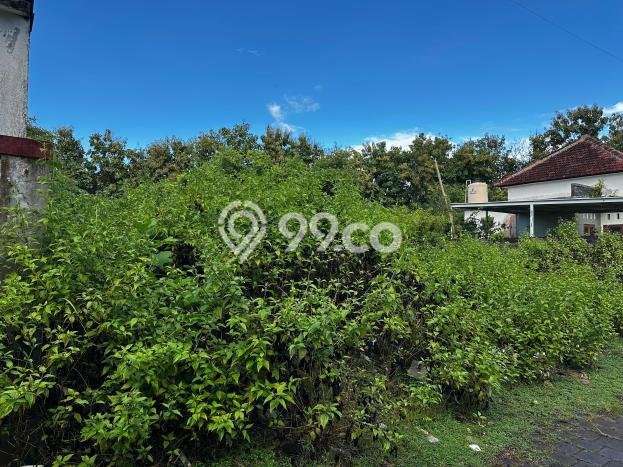 Tanah Kavling Dijual di Jimbaran, Badung dengan Luas Tanah 300m2 Tanah Kavling Dijual di Jimbaran, Badung dengan Luas Tanah 300m2