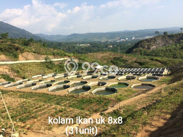 Tanah Investasi Dijual di Bogor Punya Luas 37000m2 Tanah Investasi Dijual di Bogor Punya Luas 37000m2