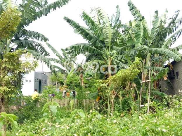 PRIME LOCATION! Tanah Kawasan Pasar Kemis, Luas 278m², Ideal untuk Investasi PRIME LOCATION! Tanah Kawasan Pasar Kemis, Luas 278m², Ideal untuk Investasi