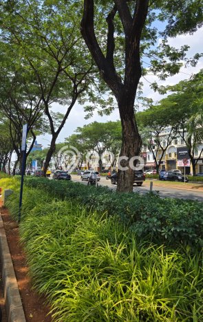 Disewakan Ruko di Kawasan Ramai Gading Serpong Luas 200m2 Disewakan Ruko di Kawasan Ramai Gading Serpong Luas 200m2