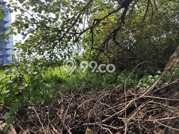 Dijual Tanah Lokasi BSD, Tangerang Seluas 8000m2 Dijual Tanah Lokasi BSD, Tangerang Seluas 8000m2