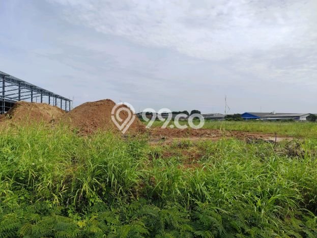 Kavling Tanah di Pasar Kemis Dijual Luas 20000m2 Legalitas SHM Kavling Tanah di Pasar Kemis Dijual Luas 20000m2 Legalitas SHM