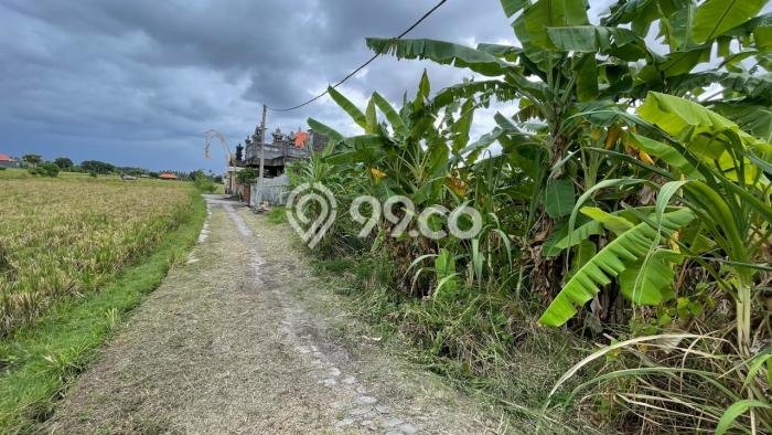 Tanah Dijual Lokasi Sukawati Gianyar SHM Tanah Dijual Lokasi Sukawati Gianyar SHM