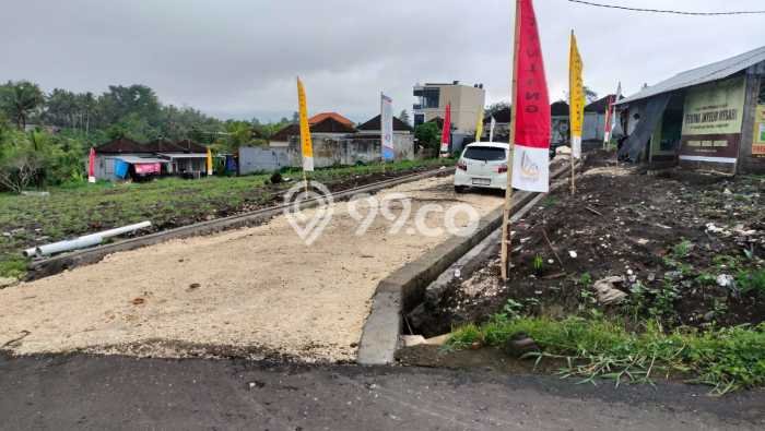 Tanah Dijual Lokasi Tabanan, Tabanan dengan Luas Tanah 100m2 dan Status SHM Tanah Dijual Lokasi Tabanan, Tabanan dengan Luas Tanah 100m2 dan Status SHM