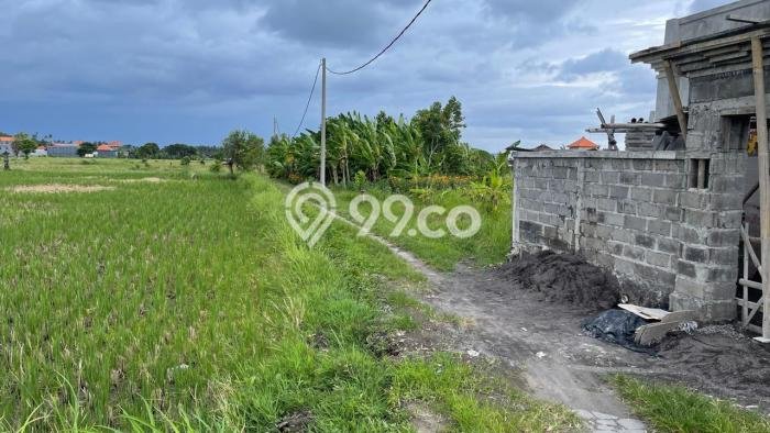 Tanah Dijual Lokasi Sukawati Gianyar SHM Tanah Dijual Lokasi Sukawati Gianyar SHM