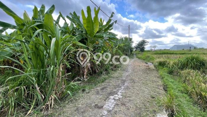 Tanah Dijual Lokasi Sukawati Gianyar SHM Tanah Dijual Lokasi Sukawati Gianyar SHM