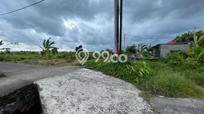 Tanah Dijual Lokasi Sukawati Gianyar SHM Tanah Dijual Lokasi Sukawati Gianyar SHM