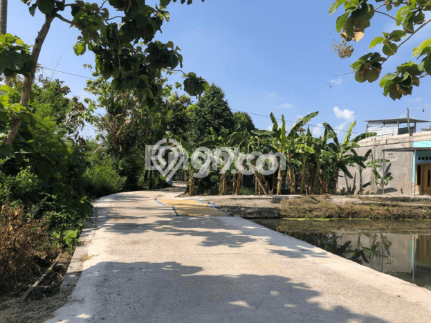 Kavling Tanah di Jetis Dijual Luas 121m2 Legalitas SHM Kavling Tanah di Jetis Dijual Luas 121m2 Legalitas SHM