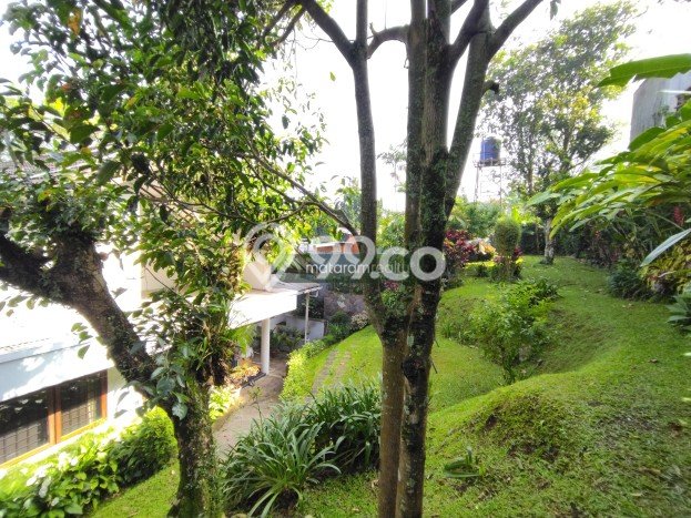 Cozy Living House At Sayap Dago Furnished Cozy Living House At Sayap Dago Furnished