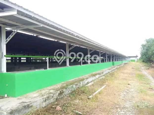 Dijual Gudang Kawasan Palasah, Luas 6600m2m², Area Bisnis Dijual Gudang Kawasan Palasah, Luas 6600m2m², Area Bisnis