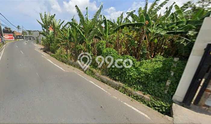 Dijual Tanah Lokasi canggu, Badung Seluas 530m2 Dijual Tanah Lokasi canggu, Badung Seluas 530m2