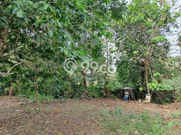 Kavling Tanah untuk Dijual di Jimbaran, Badung, Luas 5950m2 Kavling Tanah untuk Dijual di Jimbaran, Badung, Luas 5950m2