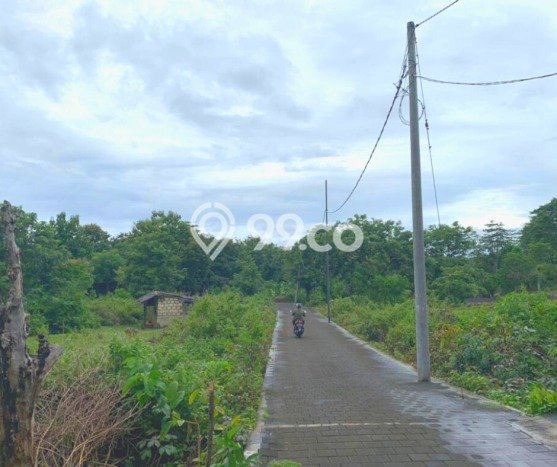 Tanah Dijual Area Strategis di Balangan Badung 3030m2 Tanah Dijual Area Strategis di Balangan Badung 3030m2