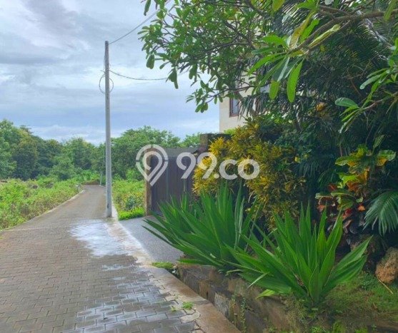 Tanah Dijual Area Strategis di Balangan Badung 3030m2 Tanah Dijual Area Strategis di Balangan Badung 3030m2