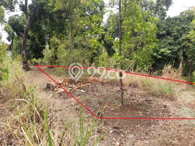 Tanah Dijual Lokasi Sukasada, Buleleng Luas 1000m2 Legalitas Aman Tanah Dijual Lokasi Sukasada, Buleleng Luas 1000m2 Legalitas Aman