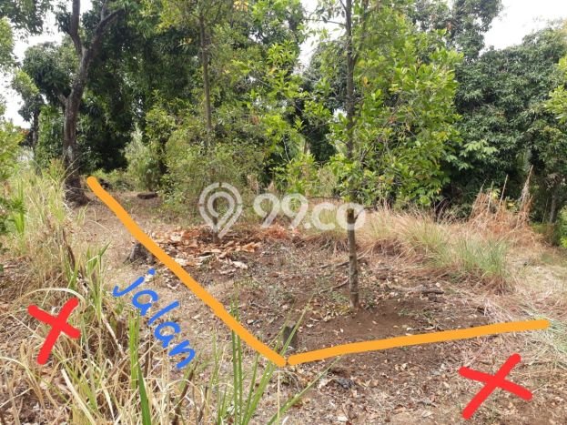 Tanah Dijual Lokasi Sukasada, Buleleng Luas 1000m2 Legalitas Aman Tanah Dijual Lokasi Sukasada, Buleleng Luas 1000m2 Legalitas Aman