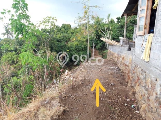 Tanah Dijual Lokasi Sukasada, Buleleng Luas 1000m2 Legalitas Aman Tanah Dijual Lokasi Sukasada, Buleleng Luas 1000m2 Legalitas Aman