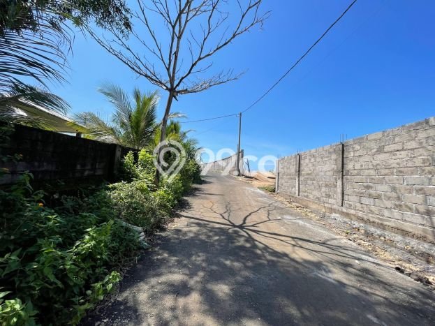 Tanah Dijual Lokasi Strategis di Badung dengan Luas 1168m2 Tanah Dijual Lokasi Strategis di Badung dengan Luas 1168m2
