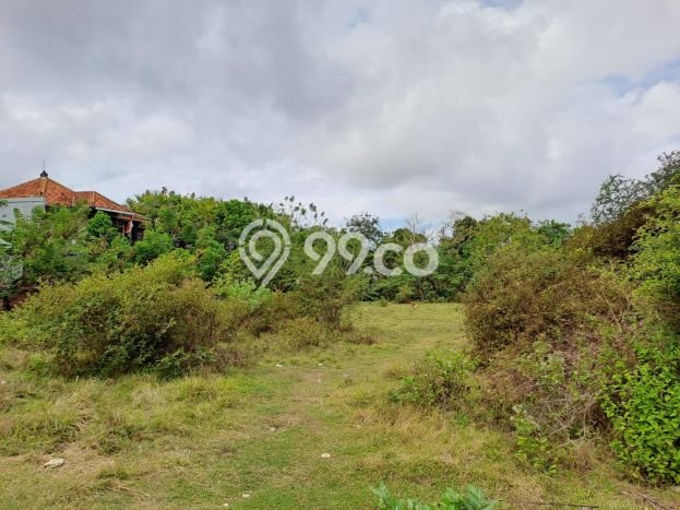 Kavling Tanah untuk Dijual di Jimbaran, Badung, Luas 5950m2 Kavling Tanah untuk Dijual di Jimbaran, Badung, Luas 5950m2
