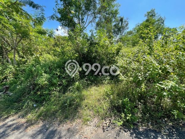 Tanah Dijual Lokasi Strategis di Badung dengan Luas 1168m2 Tanah Dijual Lokasi Strategis di Badung dengan Luas 1168m2