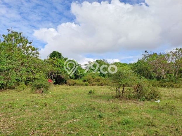 Kavling Tanah untuk Dijual di Jimbaran, Badung, Luas 5950m2 Kavling Tanah untuk Dijual di Jimbaran, Badung, Luas 5950m2
