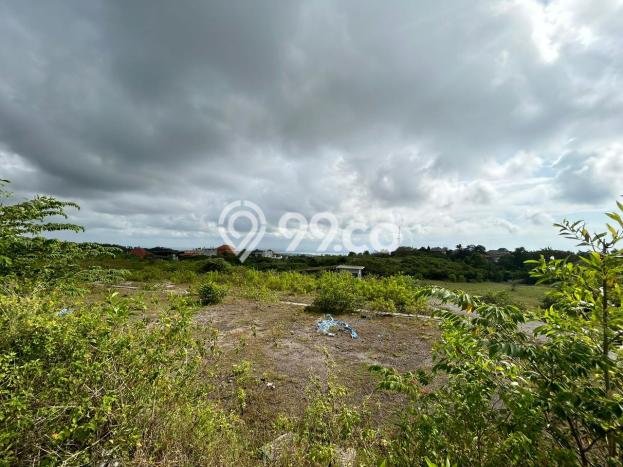 Tanah Investasi Dijual di Badung Punya Luas 1465m2 Tanah Investasi Dijual di Badung Punya Luas 1465m2