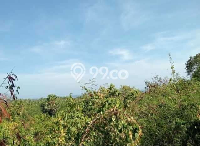 Tanah Dijual di Buleleng Seluas 7000m2 Strategis Tanah Dijual di Buleleng Seluas 7000m2 Strategis