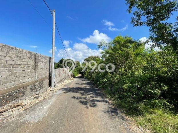 Tanah Dijual Lokasi Strategis di Badung dengan Luas 1168m2 Tanah Dijual Lokasi Strategis di Badung dengan Luas 1168m2