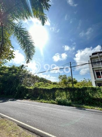 Tanah Investasi Dijual di Badung Punya Luas 1465m2 Tanah Investasi Dijual di Badung Punya Luas 1465m2