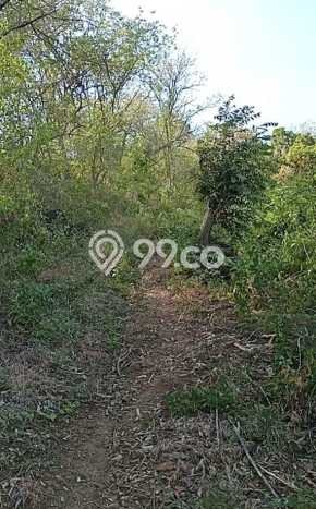 Tanah Dijual di Buleleng Seluas 7000m2 Strategis Tanah Dijual di Buleleng Seluas 7000m2 Strategis