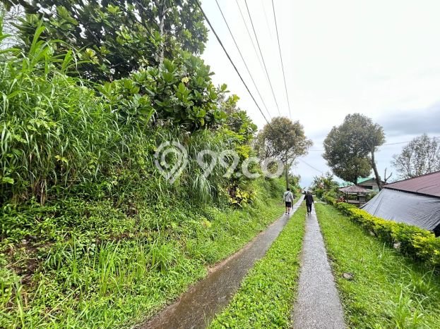 Tanah Dijual di Buleleng Seluas 7000m2 Strategis Tanah Dijual di Buleleng Seluas 7000m2 Strategis