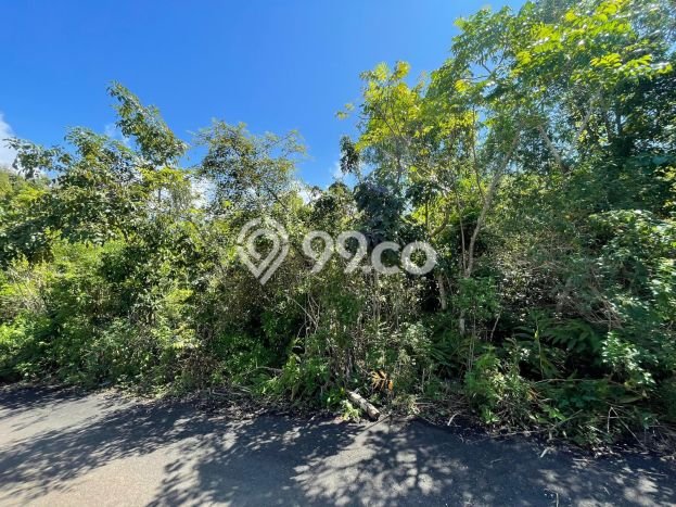 Tanah Dijual Lokasi Strategis di Badung dengan Luas 1168m2 Tanah Dijual Lokasi Strategis di Badung dengan Luas 1168m2