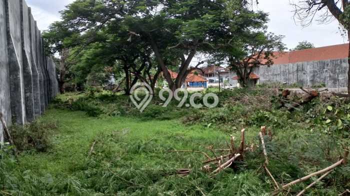Tanah Dijual Area Strategis di Singaraja Buleleng 6000m2 Tanah Dijual Area Strategis di Singaraja Buleleng 6000m2