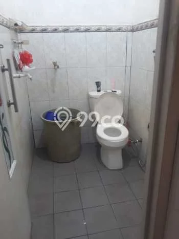 Jual Rumah Murah di Ciomas Bogor Harga Rp 450 Juta LT 85m2 Jual Rumah Murah di Ciomas Bogor Harga Rp 450 Juta LT 85m2