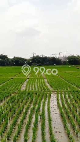 Lahan Investasi Lokasi Subang Subang SHM Lahan Investasi Lokasi Subang Subang SHM