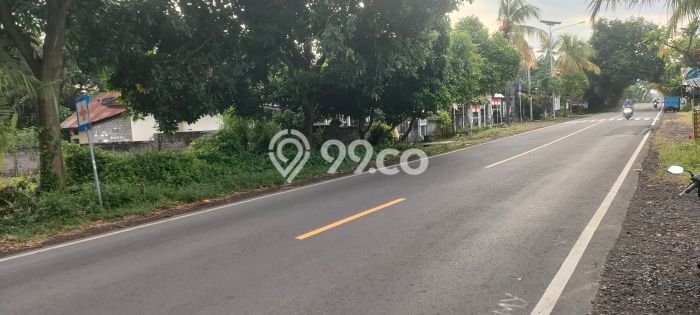 Lahan Dijual Lokasi Strategis di Buleleng dengan Luas 10000m2 Lahan Dijual Lokasi Strategis di Buleleng dengan Luas 10000m2