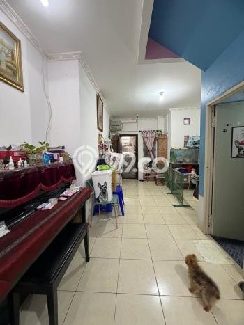 Dijual Rumah Mewah Megah Dengan View Cantik di Pegadungan, Jakarta Barat Dijual Rumah Mewah Megah Dengan View Cantik di Pegadungan, Jakarta Barat