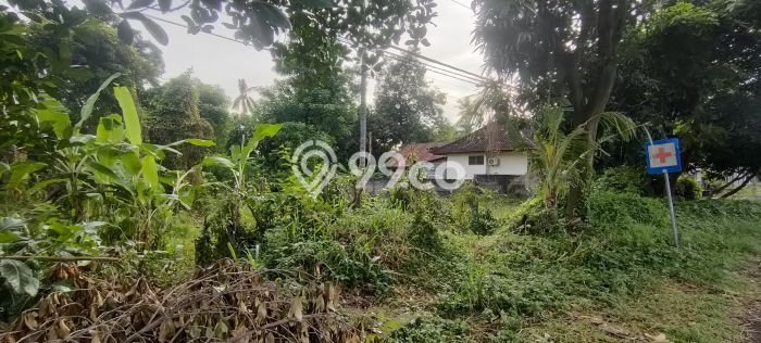 Lahan Dijual Lokasi Strategis di Buleleng dengan Luas 10000m2 Lahan Dijual Lokasi Strategis di Buleleng dengan Luas 10000m2