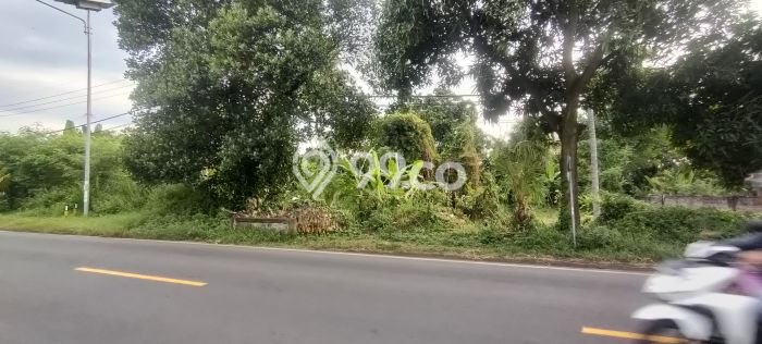 Lahan Dijual Lokasi Strategis di Buleleng dengan Luas 10000m2 Lahan Dijual Lokasi Strategis di Buleleng dengan Luas 10000m2