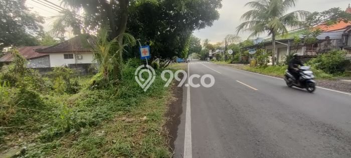Lahan Dijual Lokasi Strategis di Buleleng dengan Luas 10000m2 Lahan Dijual Lokasi Strategis di Buleleng dengan Luas 10000m2