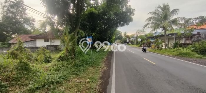 Lahan Dijual Lokasi Strategis di Buleleng dengan Luas 10000m2 Lahan Dijual Lokasi Strategis di Buleleng dengan Luas 10000m2