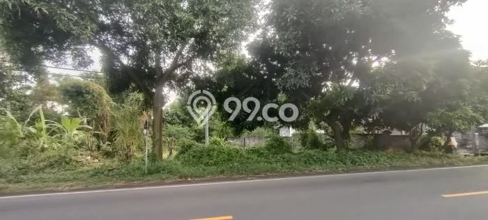 Lahan Dijual Lokasi Strategis di Buleleng dengan Luas 10000m2 Lahan Dijual Lokasi Strategis di Buleleng dengan Luas 10000m2