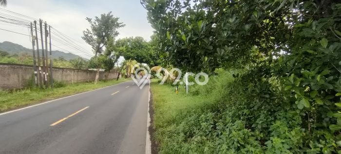 Lahan Dijual Lokasi Strategis di Buleleng dengan Luas 10000m2 Lahan Dijual Lokasi Strategis di Buleleng dengan Luas 10000m2