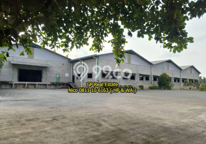 Gudang Favorit Dijual di Batang Batang Area Pusat Bisnis Gudang Favorit Dijual di Batang Batang Area Pusat Bisnis